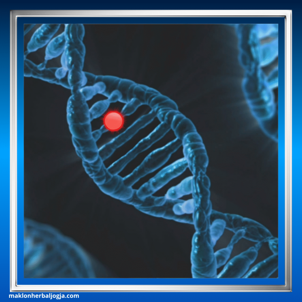 Cara Mengatasi Gula Kering 