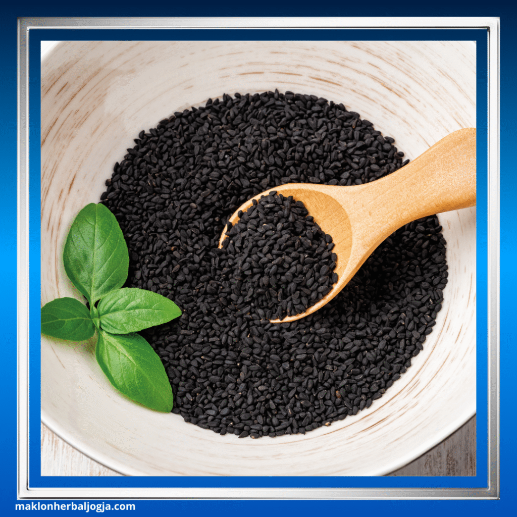 Herbal Penambah Nafsu Makan