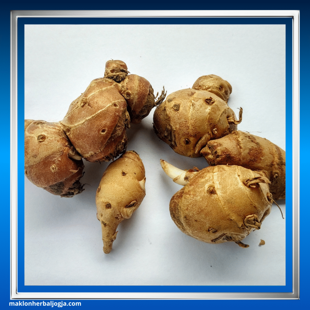 Herbal Penambah Nafsu Makan