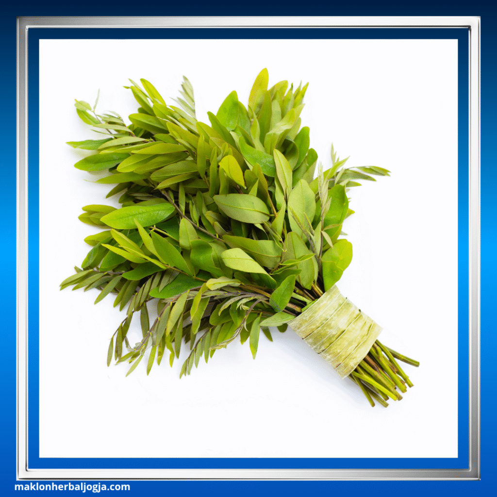 Herbal Melancarkan BAB