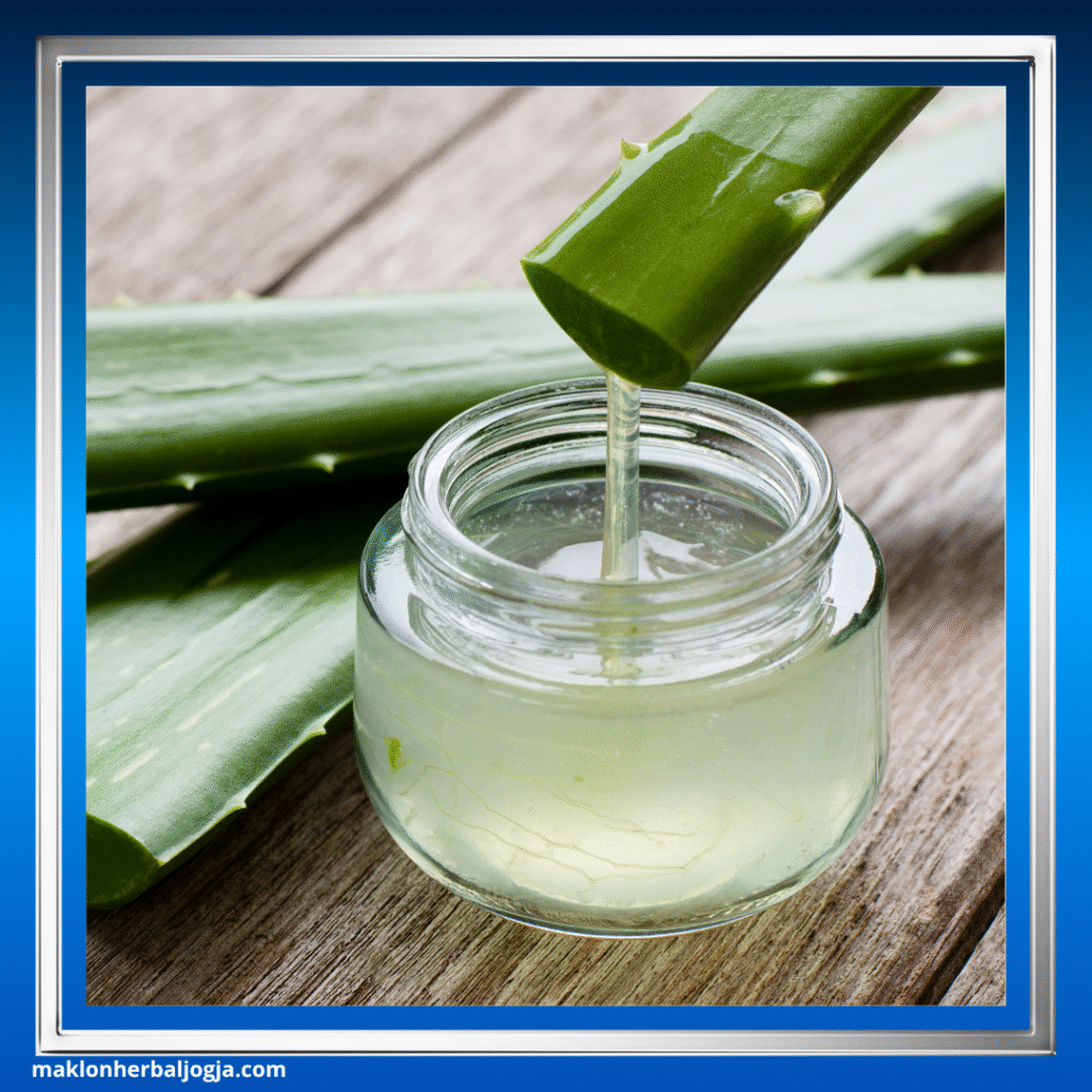 Herbal Melancarkan BAB