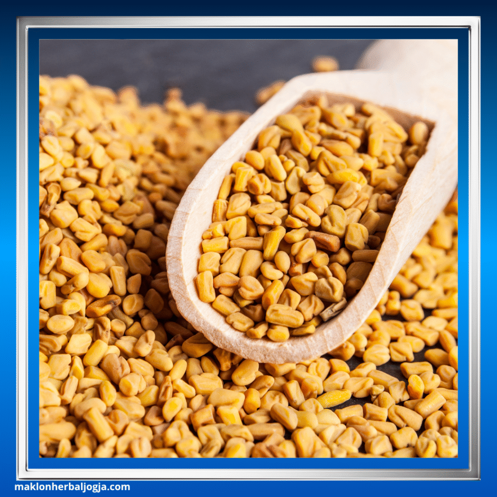 Herbal Melancarkan BAB