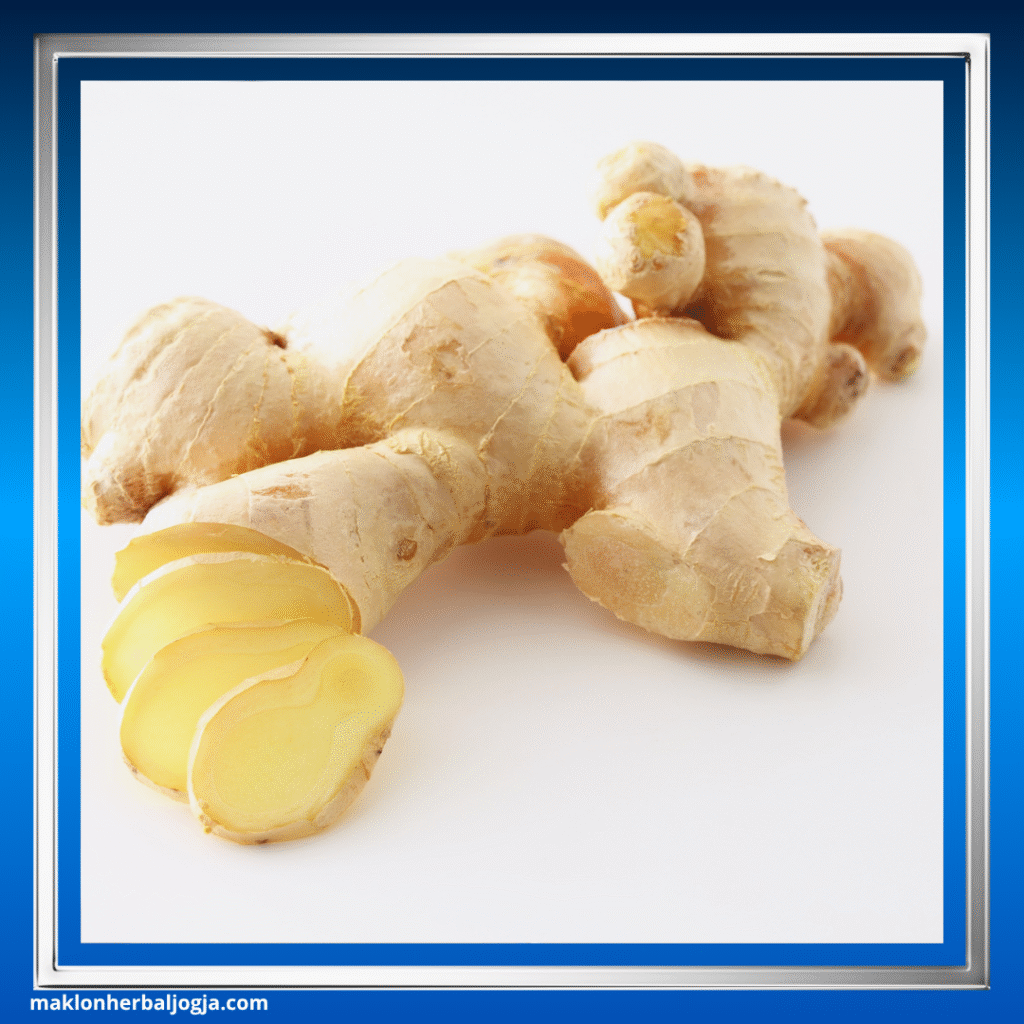 Herbal Meredakan Varises