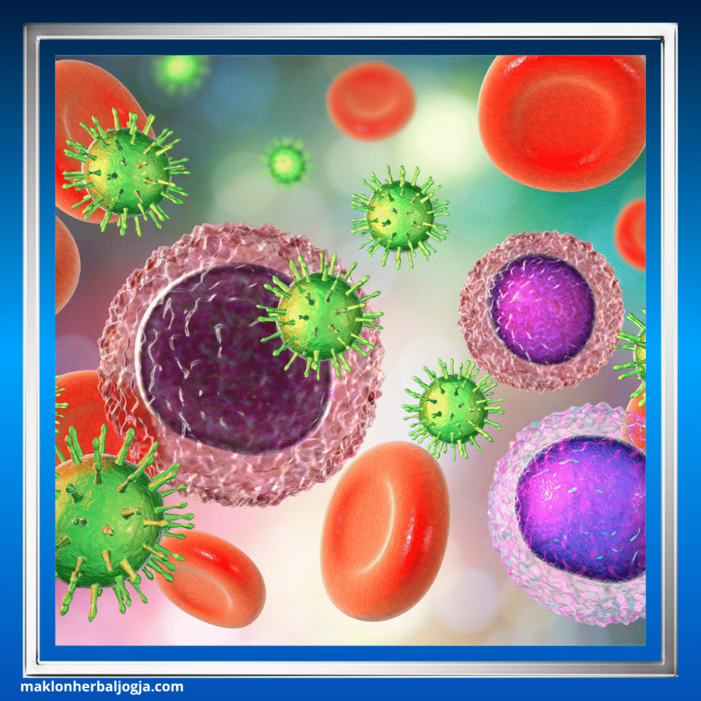 Herbal Meningkatkan Trombosit