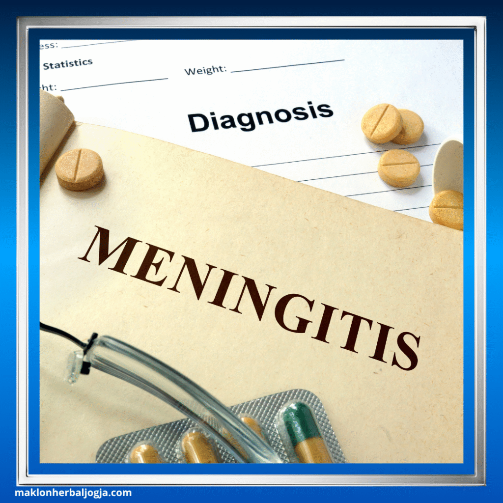 Penyakit Meningitis 