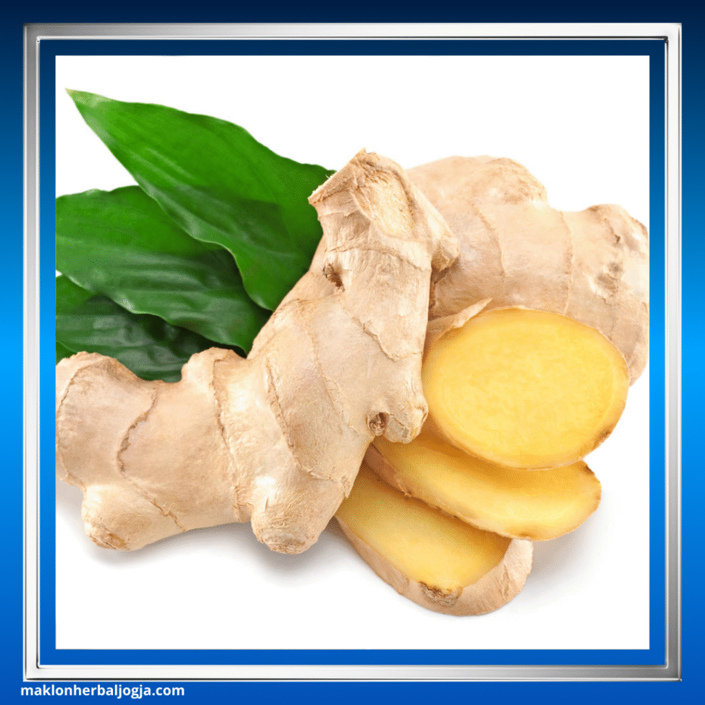 Herbal Merangsang Nafsu Makan