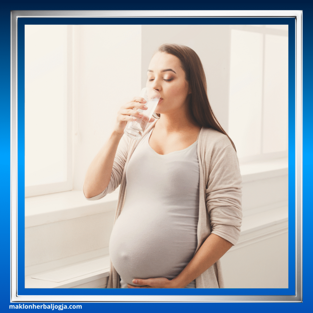 Tips Sehat Ibu Hamil