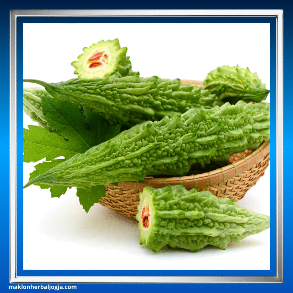 Herbal Gula Darah Kering