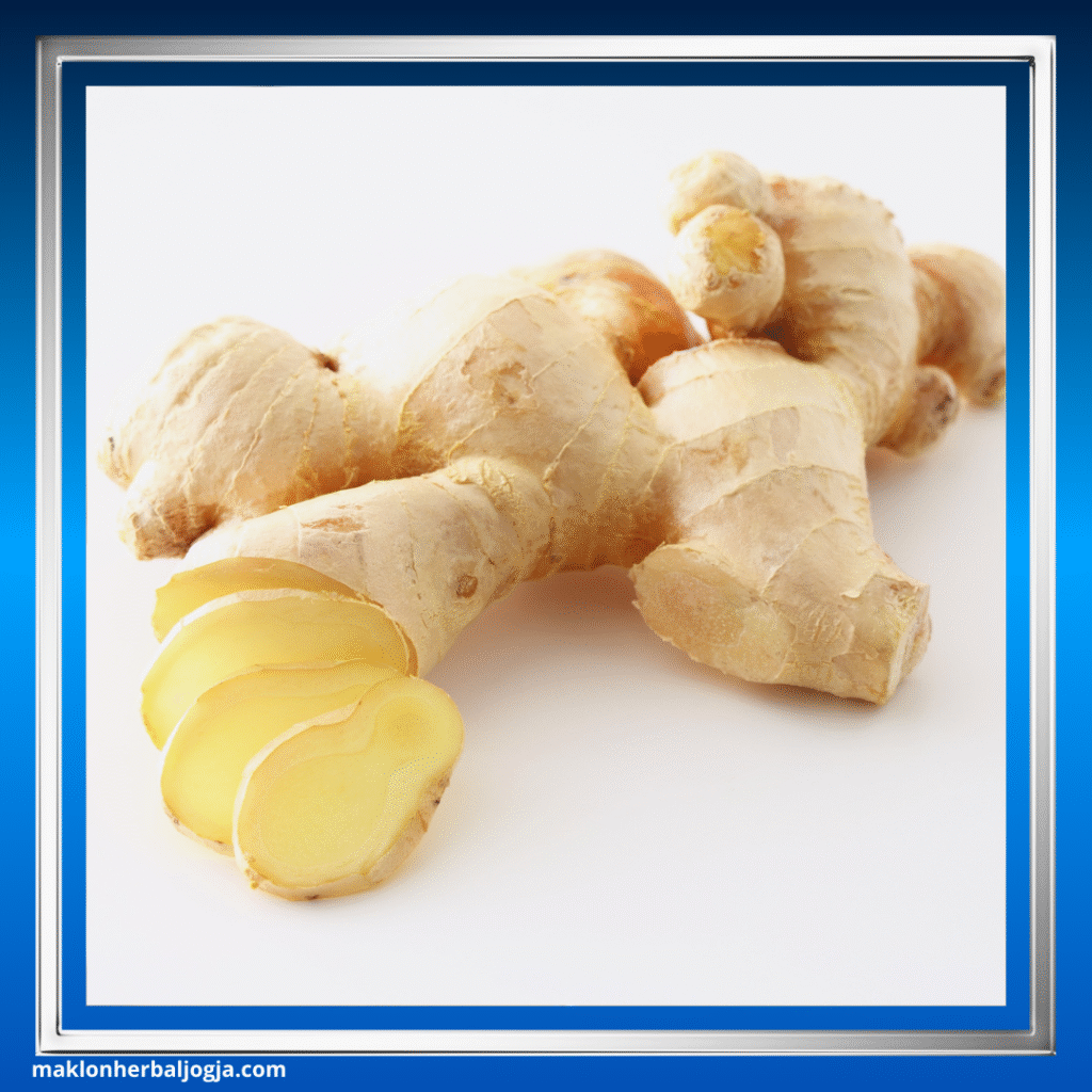 Herbal Gula Darah Kering