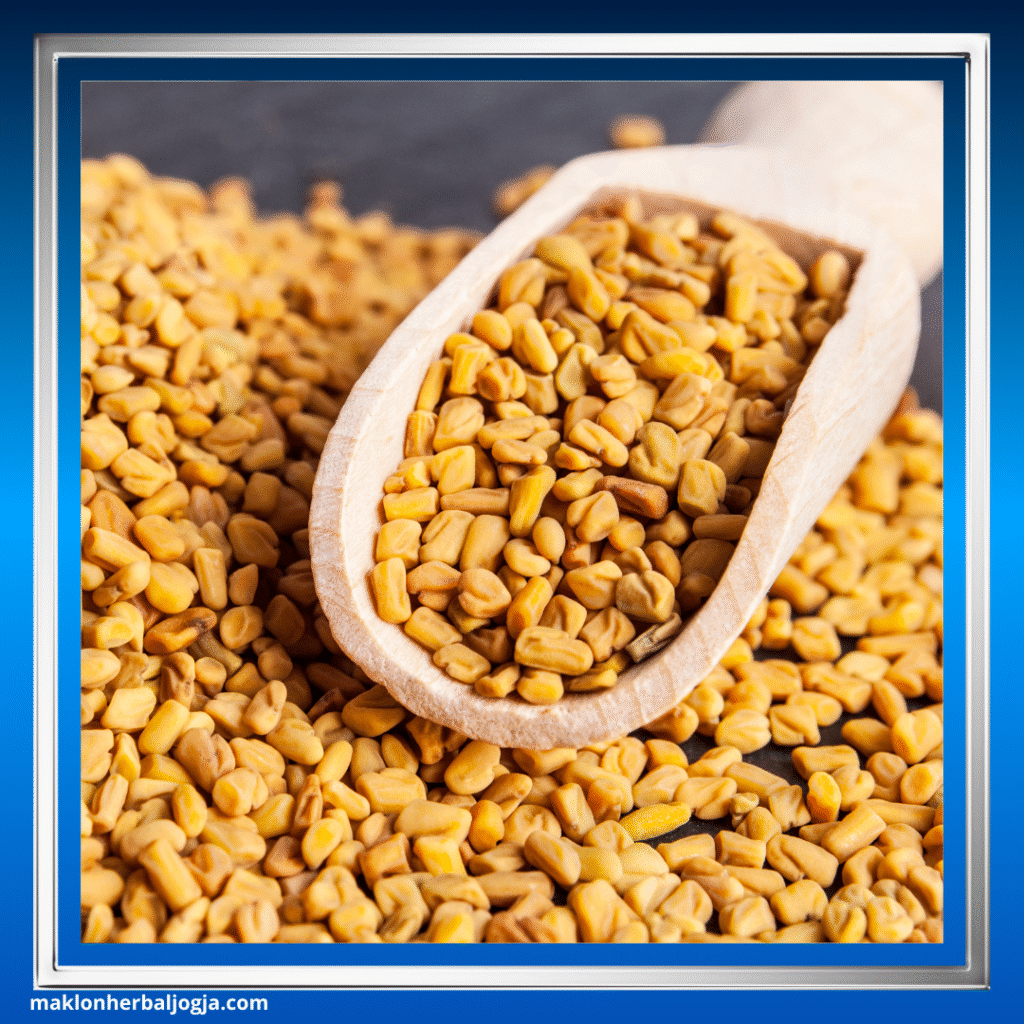 Herbal Gula Darah Kering