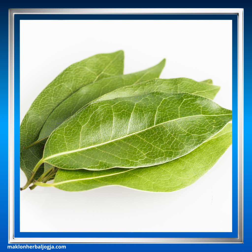 Herbal Gula Darah Kering