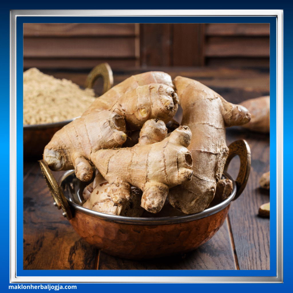 Herbal Mengecilkan Perut Buncit