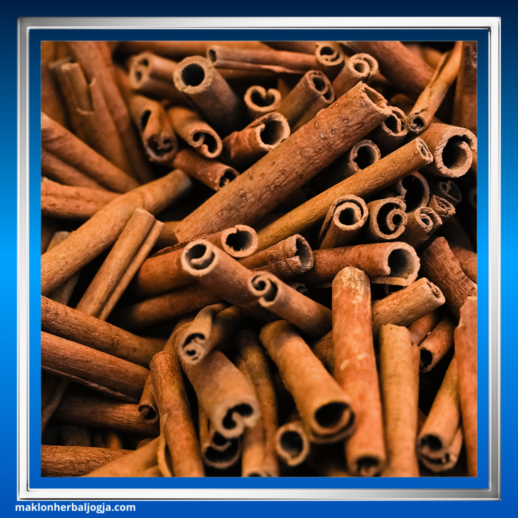 Herbal Mengecilkan Perut Buncit