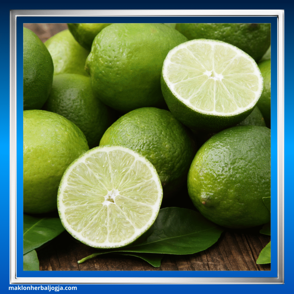 Herbal Mengecilkan Perut Buncit