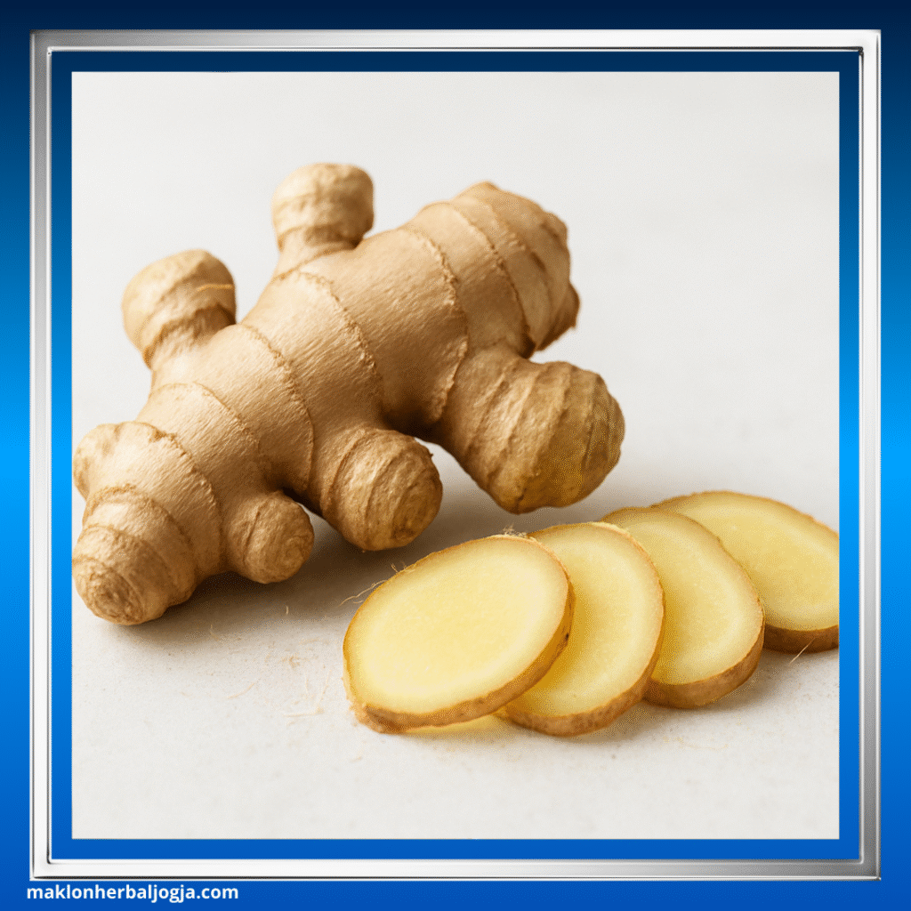 Herbal Penghancur Batu Ginjal