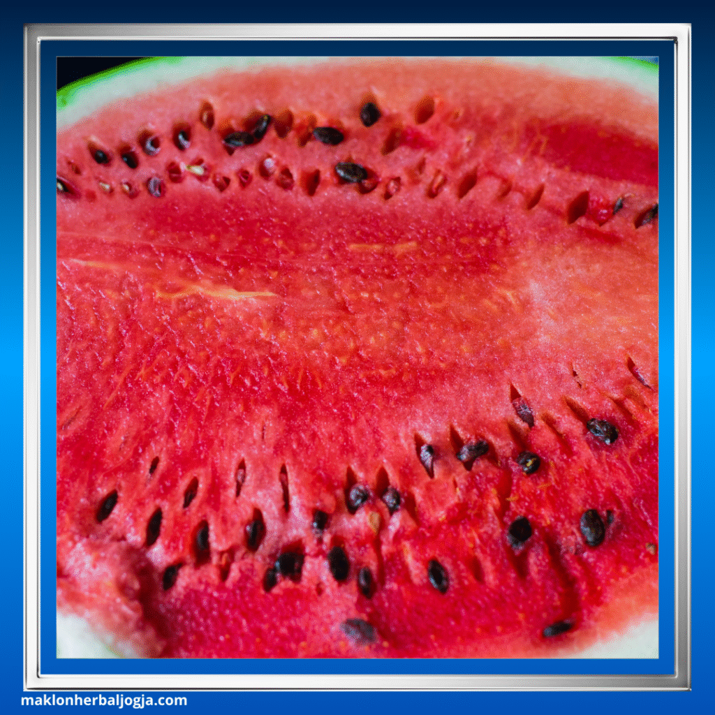 Herbal Penghancur Batu Ginjal