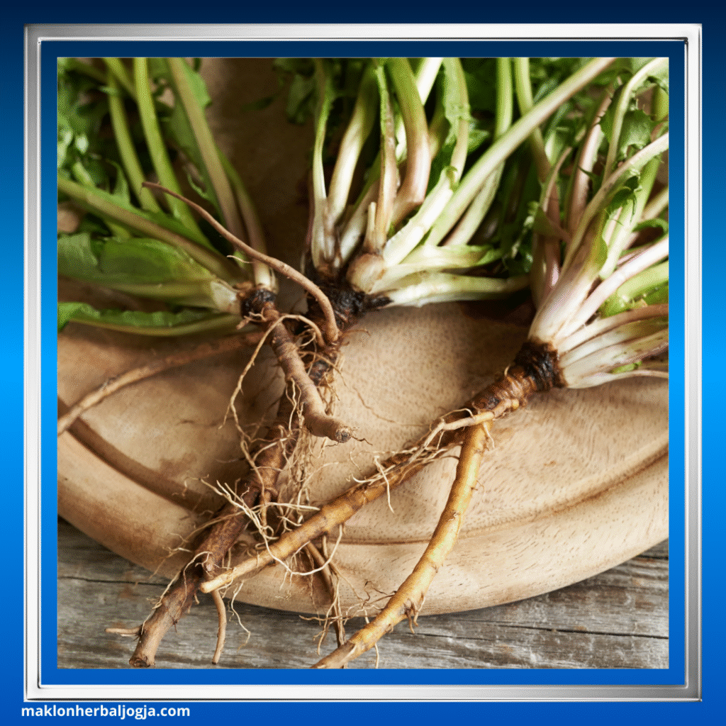 Herbal Penghancur Batu Ginjal