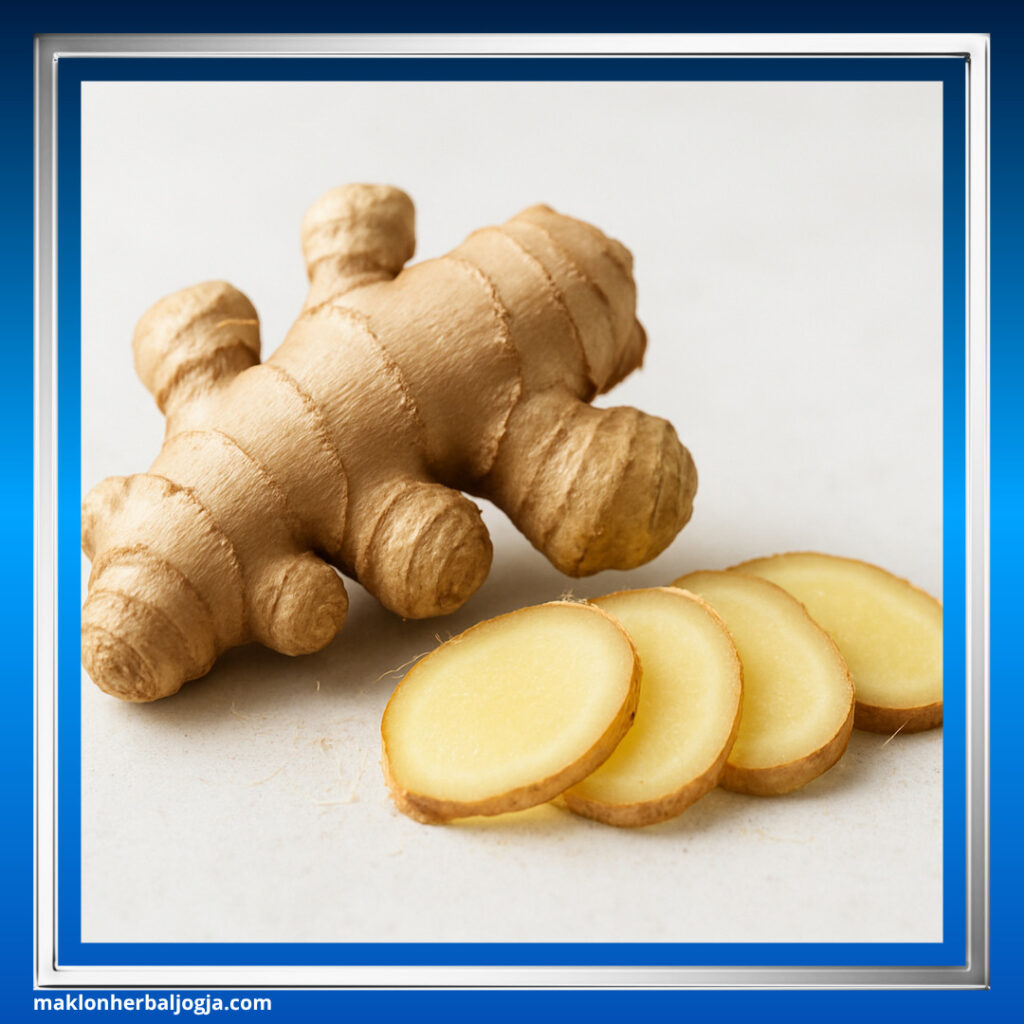 Herbal untuk Batuk Berdahak