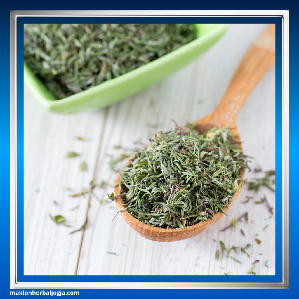 Herbal untuk Batuk Berdahak