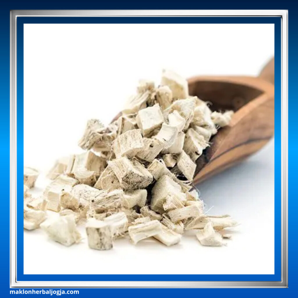 Herbal untuk Batuk Berdahak