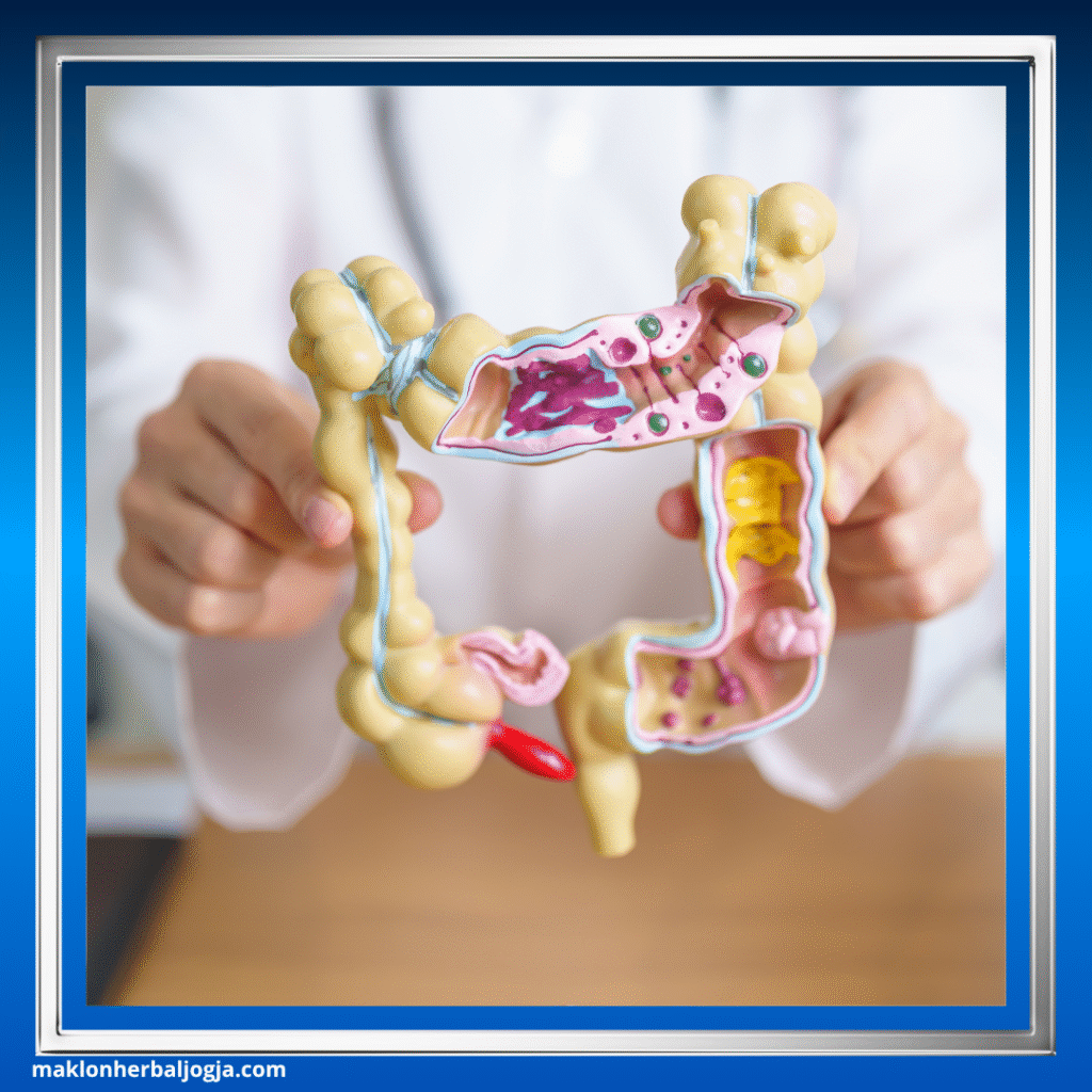 Penyebab BAB Berdarah 