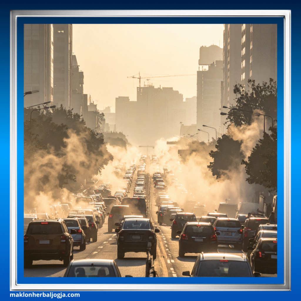 Penyebab Asma Kambuh