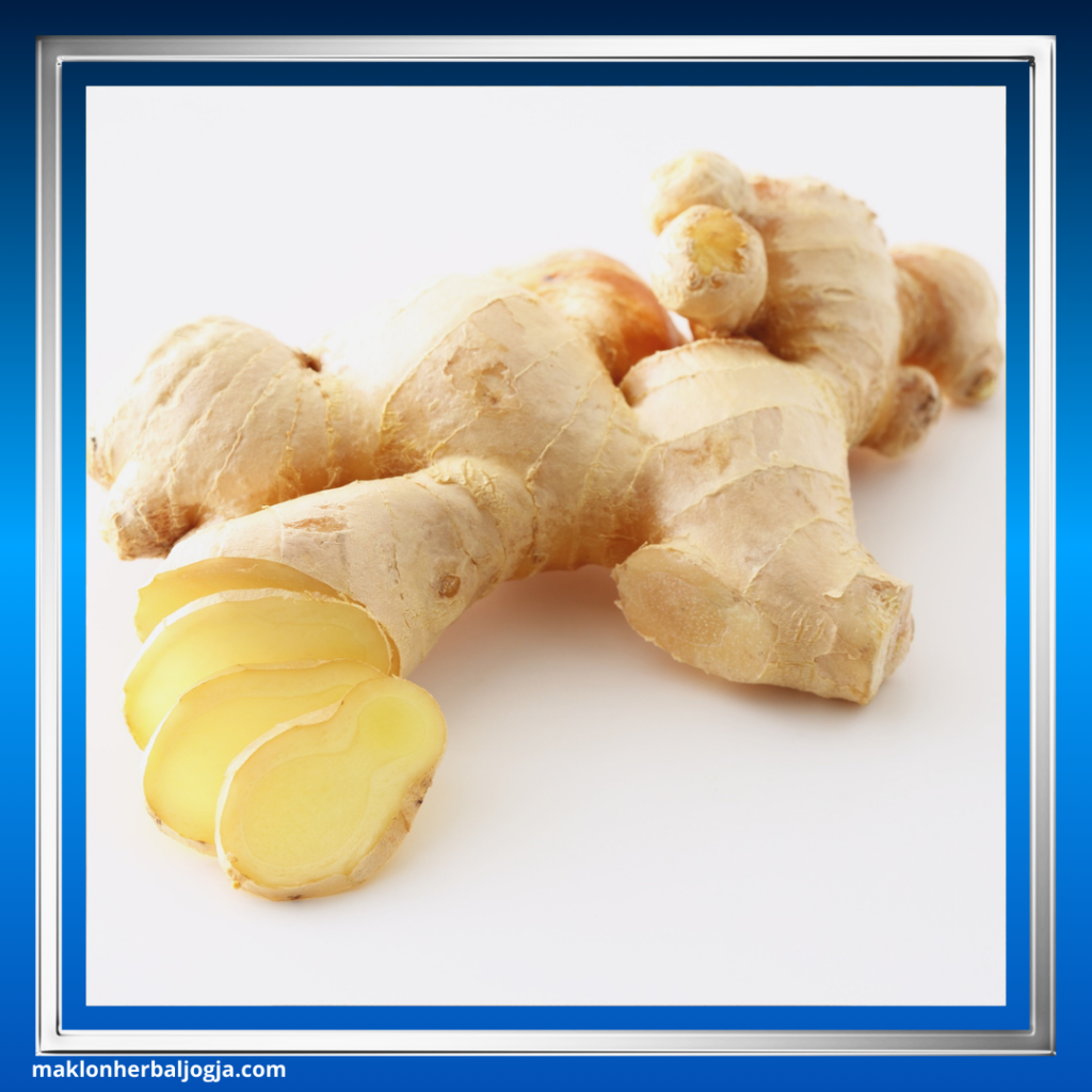 batuk anak obat herbal