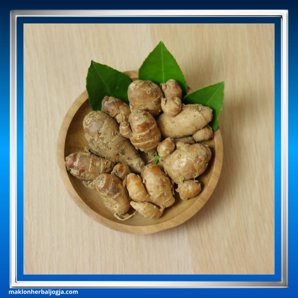 batuk anak obat herbal