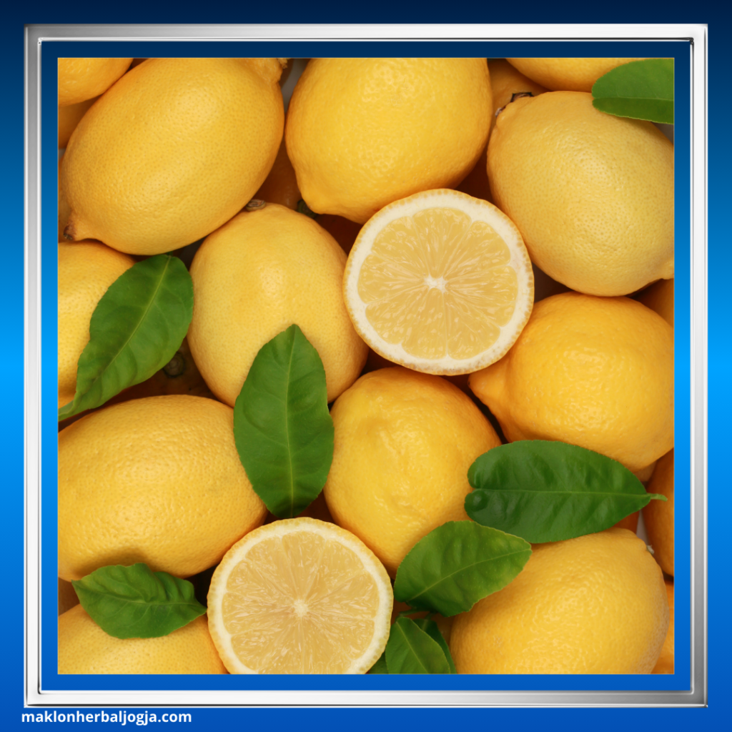 batuk anak obat herbal