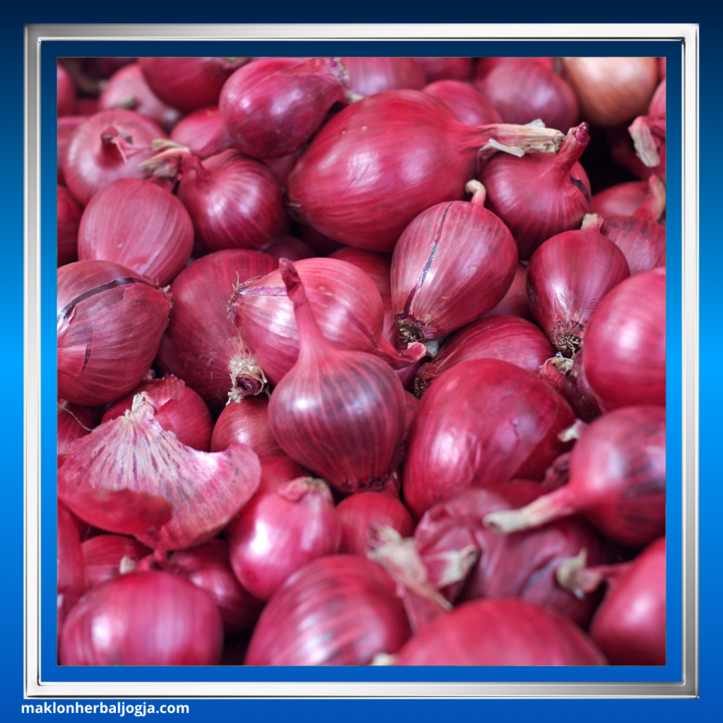 batuk anak obat herbal